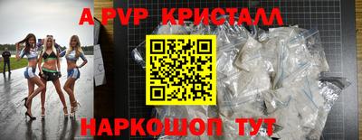 молекула духа Кингисепп