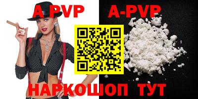молекула духа Кингисепп