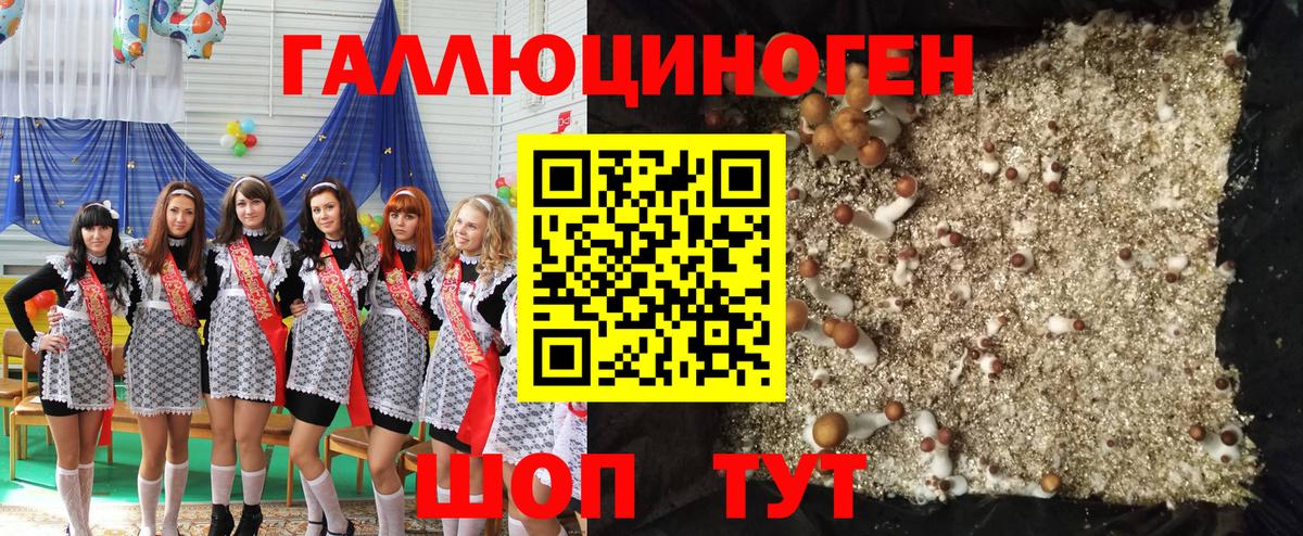 Краснодар  Псилоцибиновые грибы MAGIC MUSHROOMS  Галлюциногенные грибы Psilocybine cubensis  Вход с VPN 